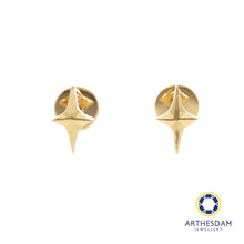 Load image into Gallery viewer, Arthesdam Jewellery 18K Gold Sparkle Star Earrings (Flat-back)
