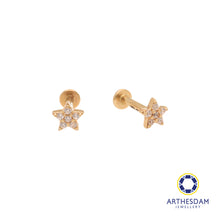 Load image into Gallery viewer, Arthesdam Jewellery 14K Gold Sparkling Star Earrings (Flat-back)
