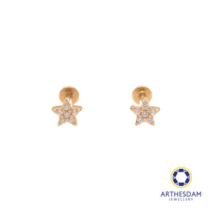 Arthesdam Jewellery 14K Gold Sparkling Star Earrings (Flat-back)