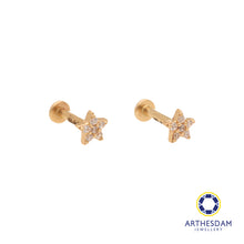 Load image into Gallery viewer, Arthesdam Jewellery 14K Gold Sparkling Star Earrings (Flat-back)
