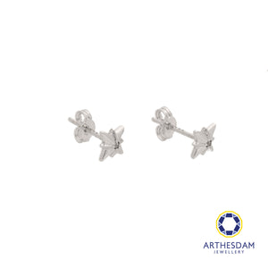 Arthesdam Jewellery 18K White Gold Sparkle With Stone Earrings