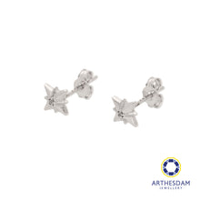 Load image into Gallery viewer, Arthesdam Jewellery 18K White Gold Sparkle With Stone Earrings
